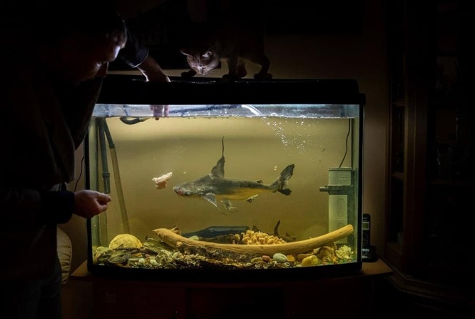 Коллекционер подводных хищников: Некоторые рыбы могут стоить, как спорткар
