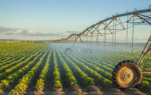 Использование современных технологий в сельском хозяйстве